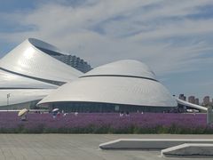 -哈尔滨大剧院