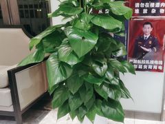 -丰收日(五角场店)