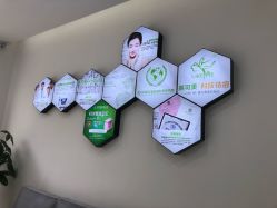 -莱可美科技美肤