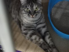 -北京恒爱动物医院(清景园分院)