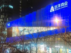 -远洋未来汇