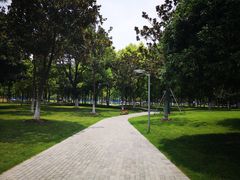 -西北湖绿化广场