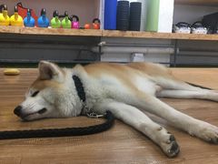 -YCHL Studios健身工作室(市二宫店)