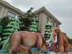 -国家自然博物馆