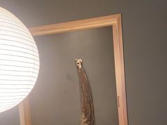 -隐溪茶馆(金虹桥店)