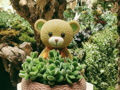 -花之城