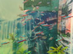 -多彩贵州城极地海洋世界