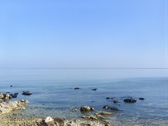 -海岛日记(养马岛店)