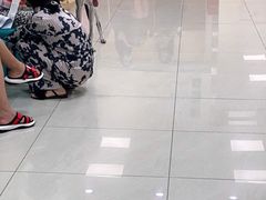 -美联众合动物医院·24h京西诊疗中心