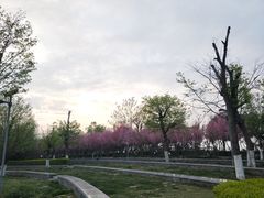 -洨河生态公园