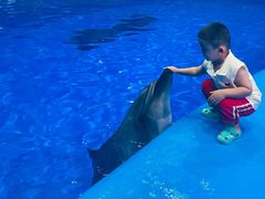 -福州罗源湾海洋世界旅游区