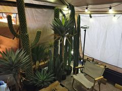 -HIHE Bistro·Oyster Bar(华熙live店)