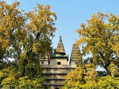-北京石刻艺术博物馆(五塔寺)