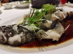 -南麓·浙里(外滩店)