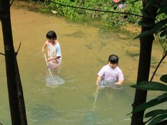 -广州白江湖森林公园