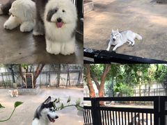 -TrueLove @ Neverland (Husky Cafe)