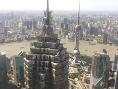 -上海柏悦酒店·世纪100牛排馆