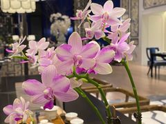 -翠湖宾馆·中餐厅