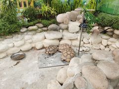 -南宫五洲植物乐园
