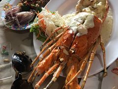 -Red Lobster
