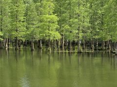 -白鹭湾湿地公园