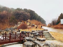 -北京西山国家森林公园