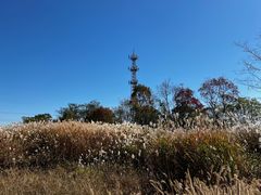 -良渚古城遗址公园