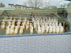-粥旺庄(芳村店)