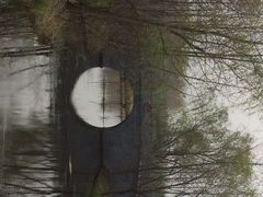 iphone_upload_pic-溱湖国家湿地公园