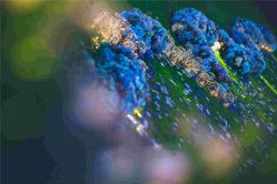 -福楼FLO·法餐婚宴(霄云路店)