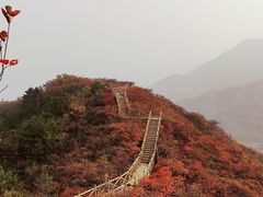 -水峪民俗村