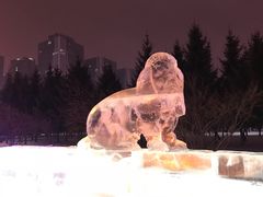 -长春公园(普阳街道)