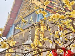 -报恩禅寺