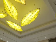 -兴芮温泉度假区