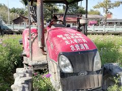 -红山村