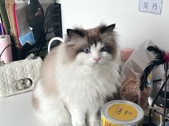 -中广艺影传媒艺术(福田校区)