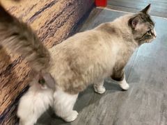 -白兔子密室(长寿路店)