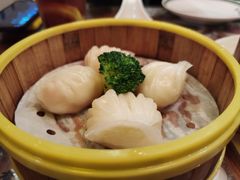 水晶鲜虾饺-香港新曜记茶餐厅(星耀城店)