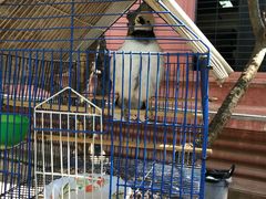 -柬埔寨国家博物馆