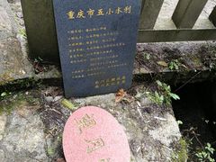 -山王坪喀斯特国家生态公园