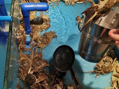 -星伦多 自助料理(圆融店)