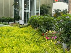 -Green Option(官舍店)