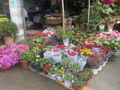 -金陵花卉交易市场