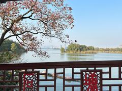 -长广溪湿地公园