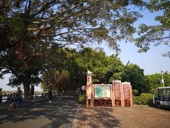 -大湾区中央湿地公园