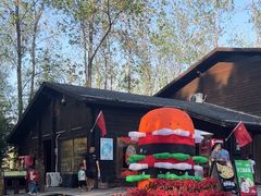 -合肥滨湖国家森林公园