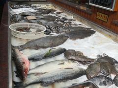 -天隆酒店·本地海鲜鲁菜(烟台大学店)