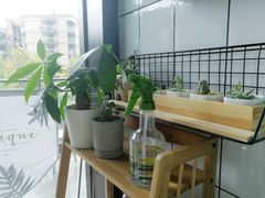 -蜜蜂小象·榴莲千层蛋糕(时代汇11栋店)