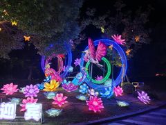 -长兴太湖图影湿地文化园