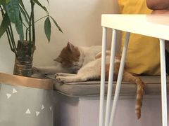 -五进制 Coffee Shop